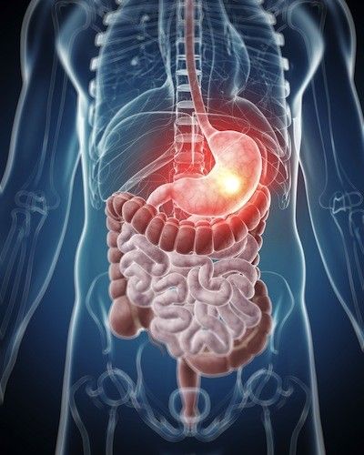 Metabolizam kao ključ zdravlja i vitalnosti: Kako ga ubrzati prirodnim putem